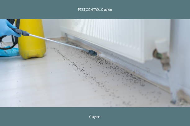 PEST CONTROL Clayton